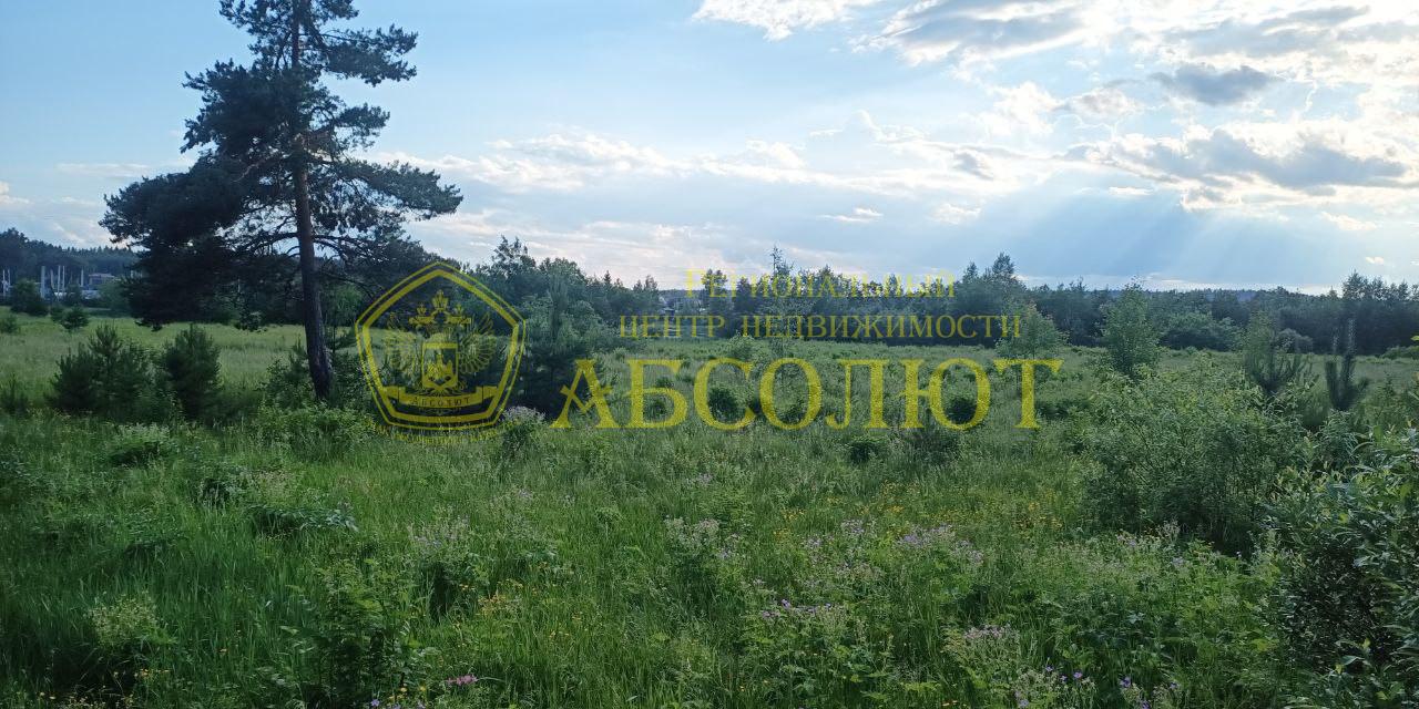 Земельный участок — фото 6