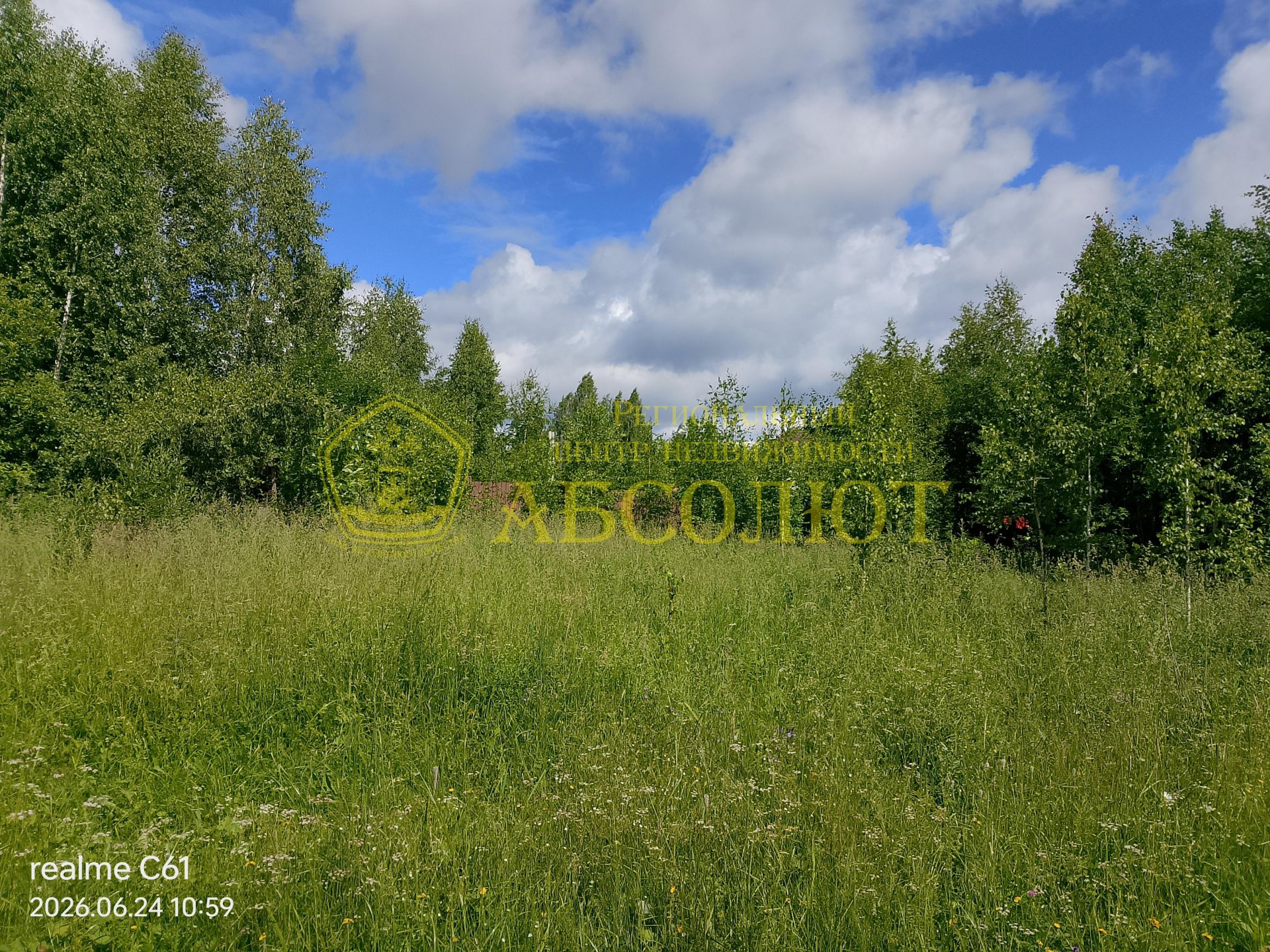 Земельный участок — фото 6