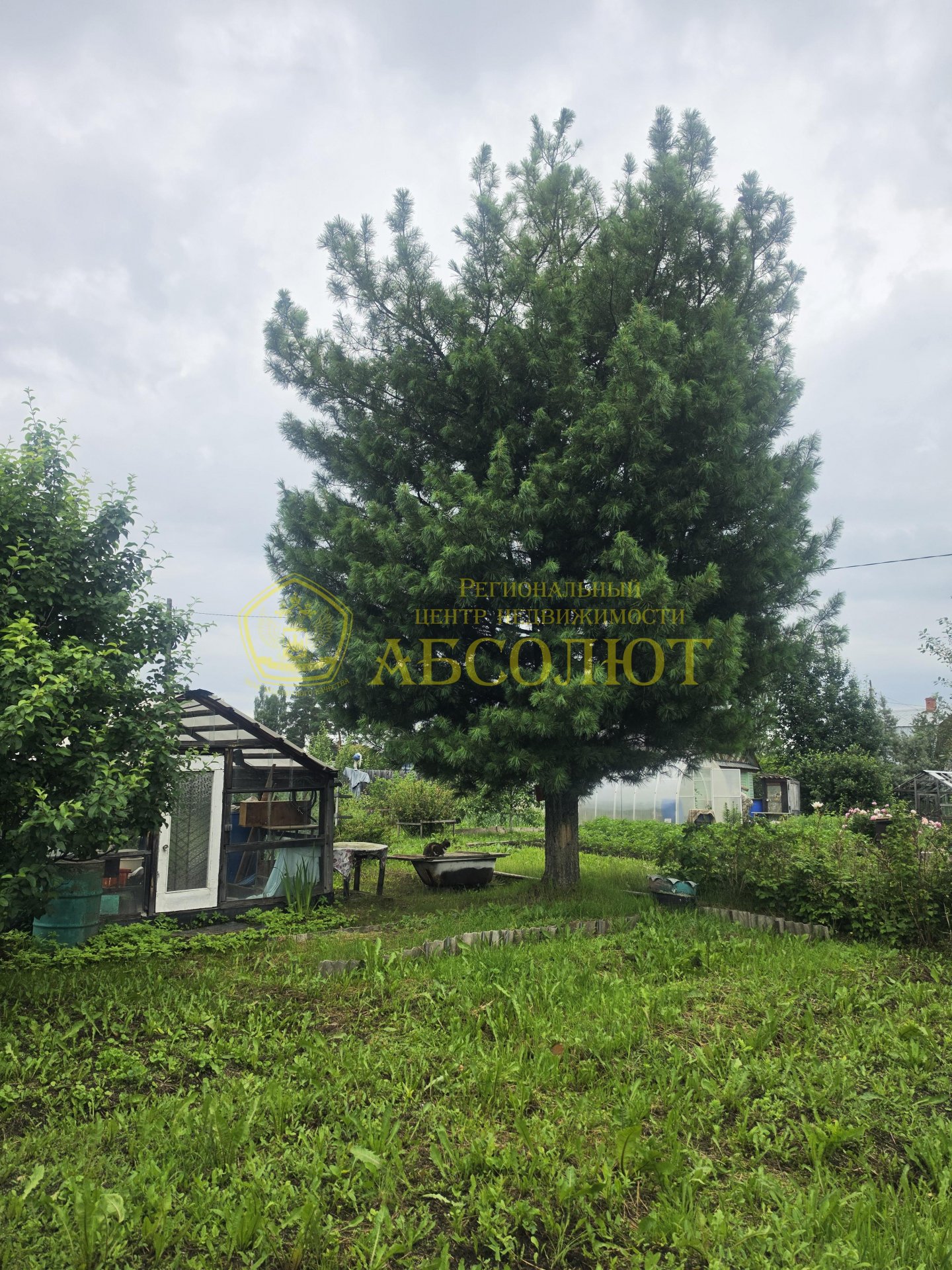 Садовый участок, 12 м² — фото 7
