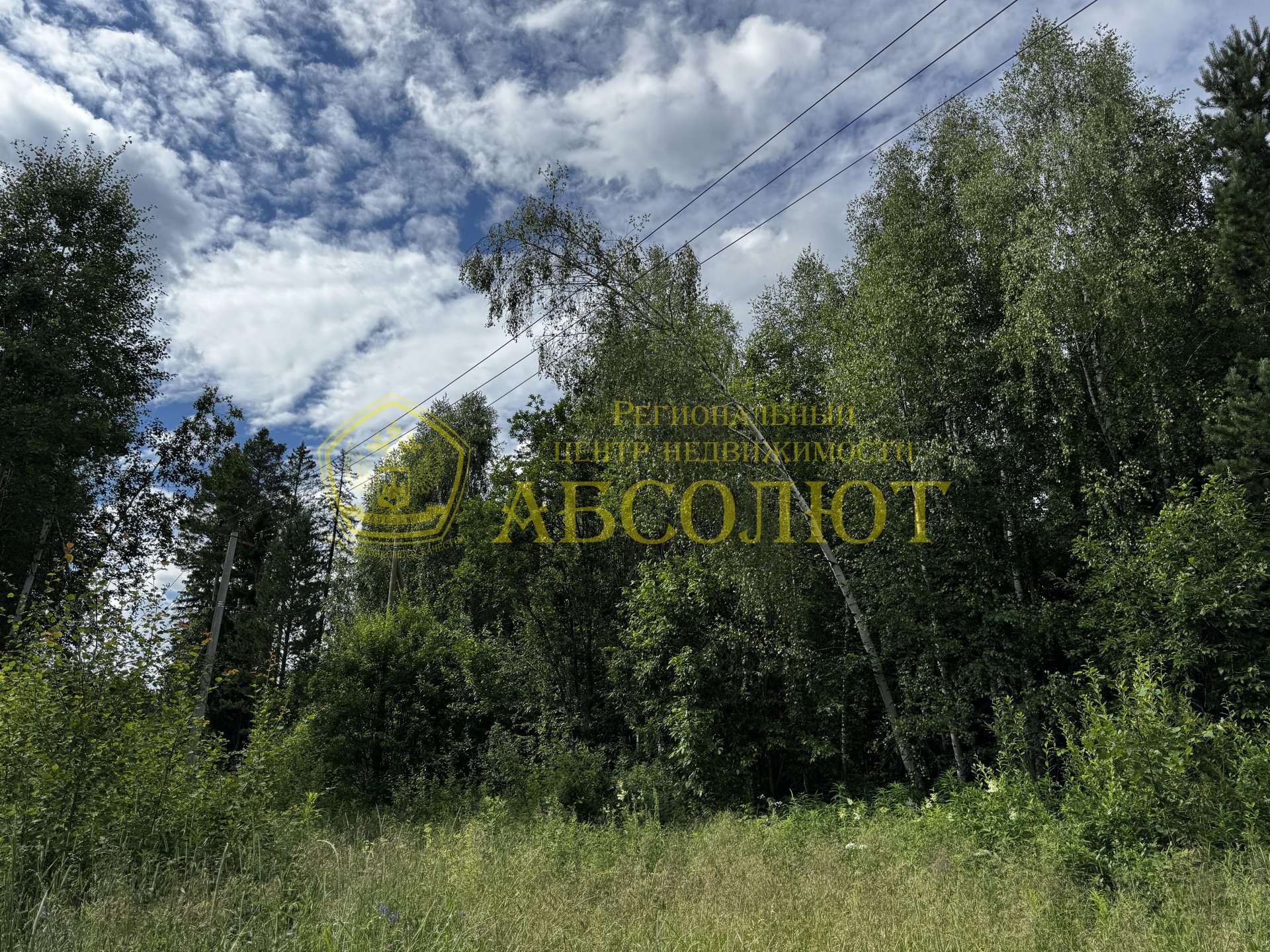 Земельный участок — фото 4