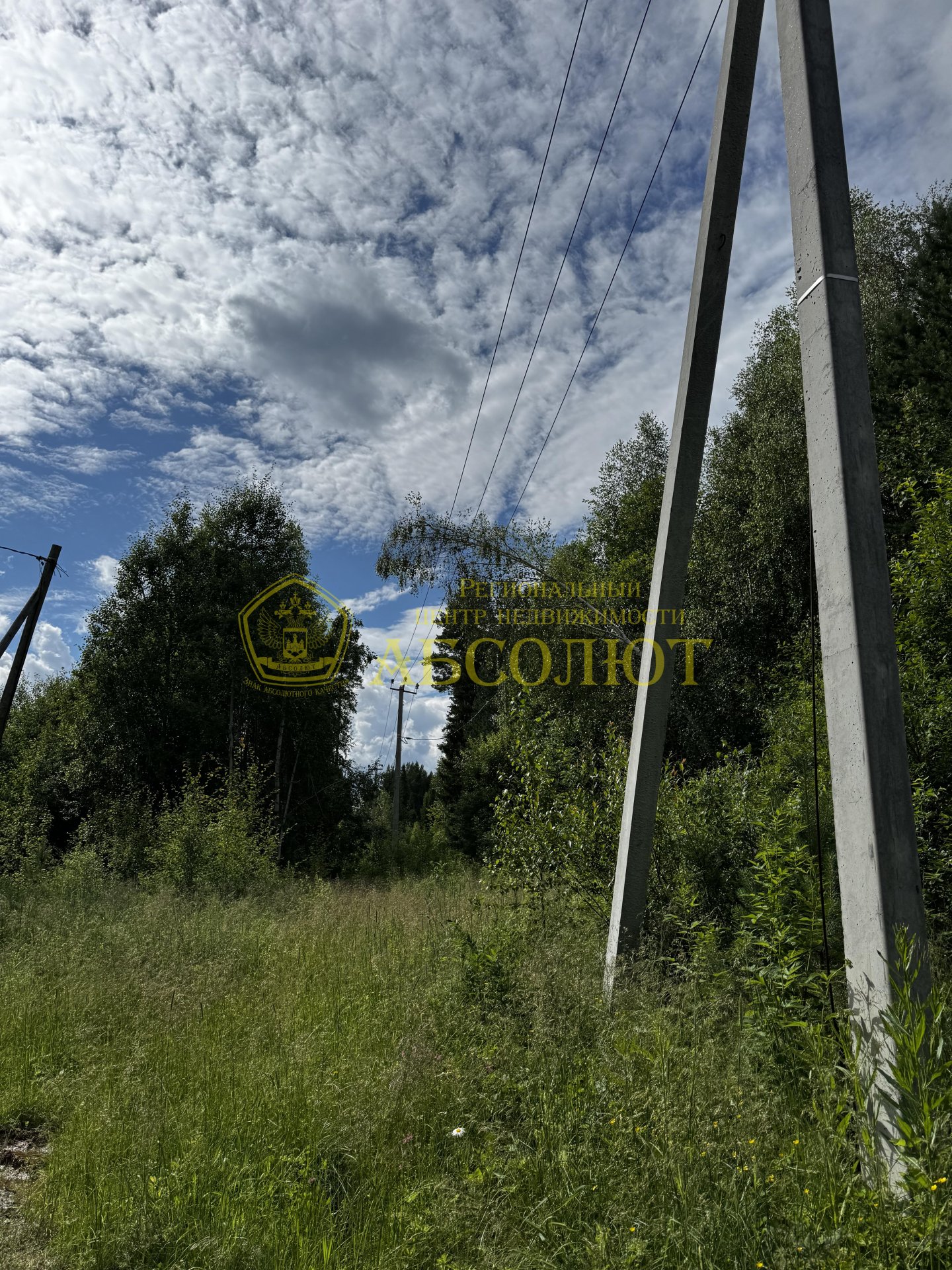 Земельный участок — фото 3