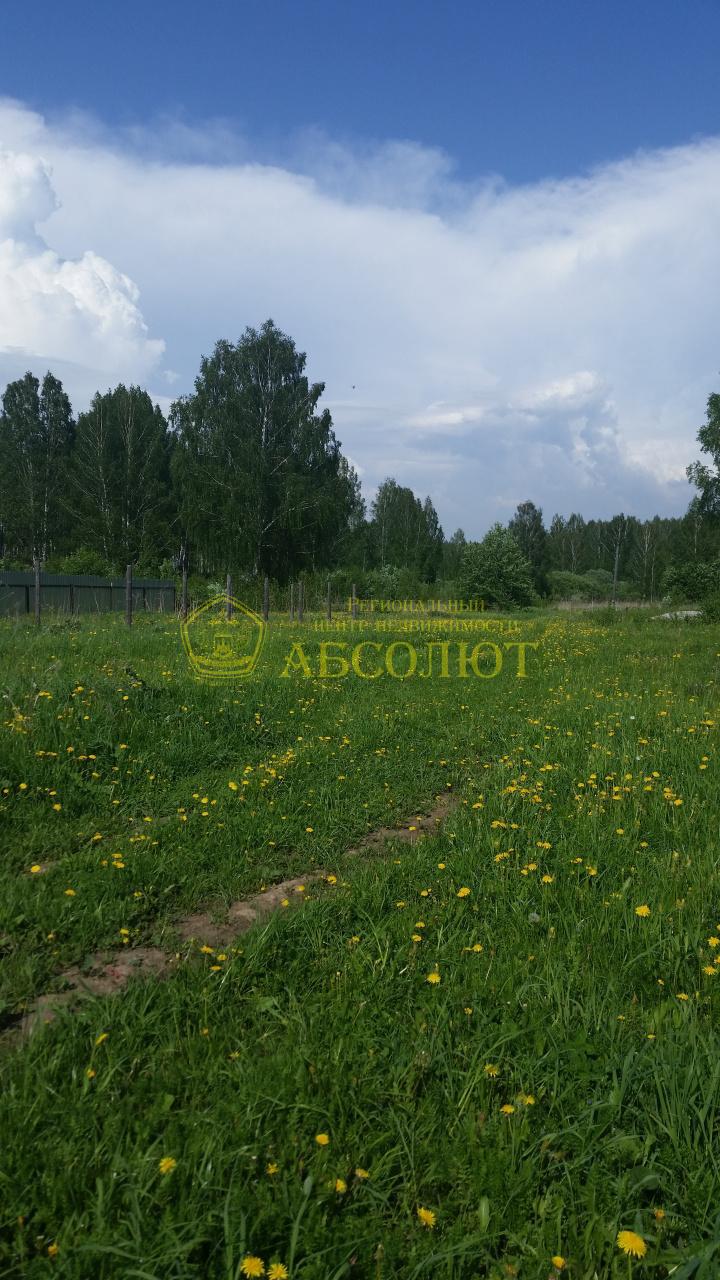 Земельный участок — фото 1
