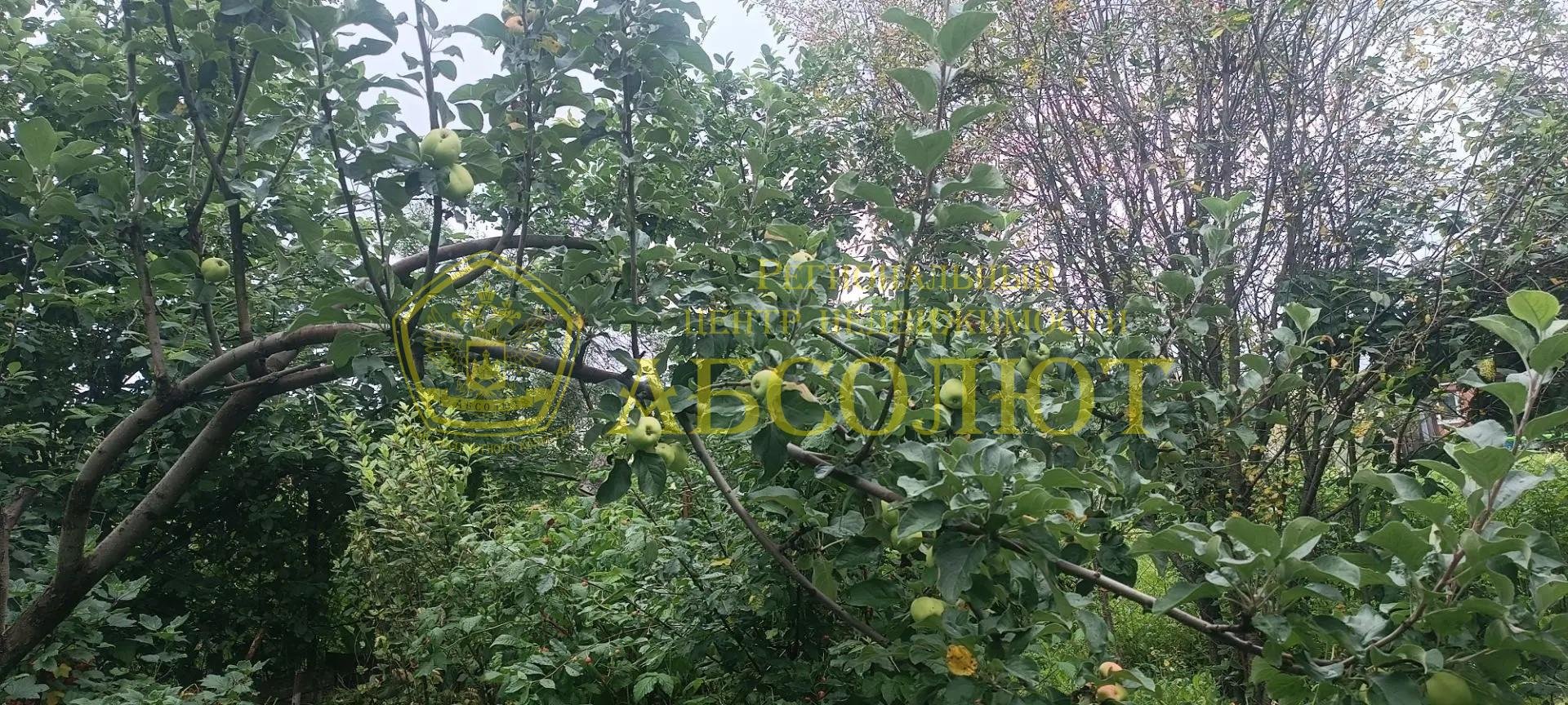 Садовый участок, 30 м² — фото 29
