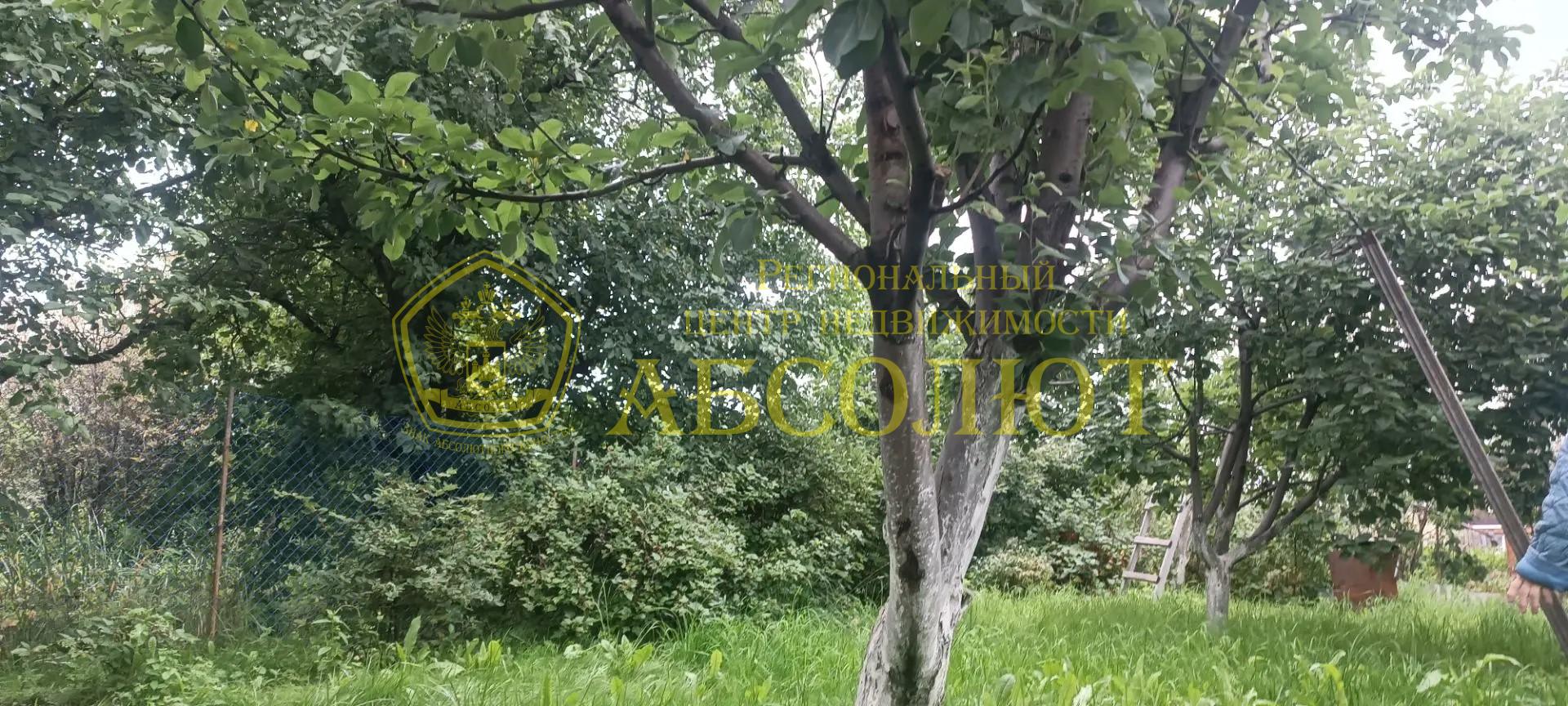Садовый участок, 30 м² — фото 26