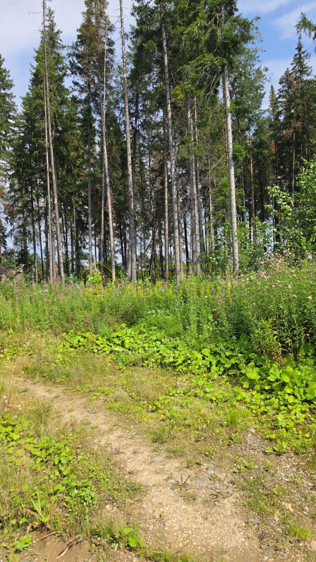 Земельный участок — фото 11
