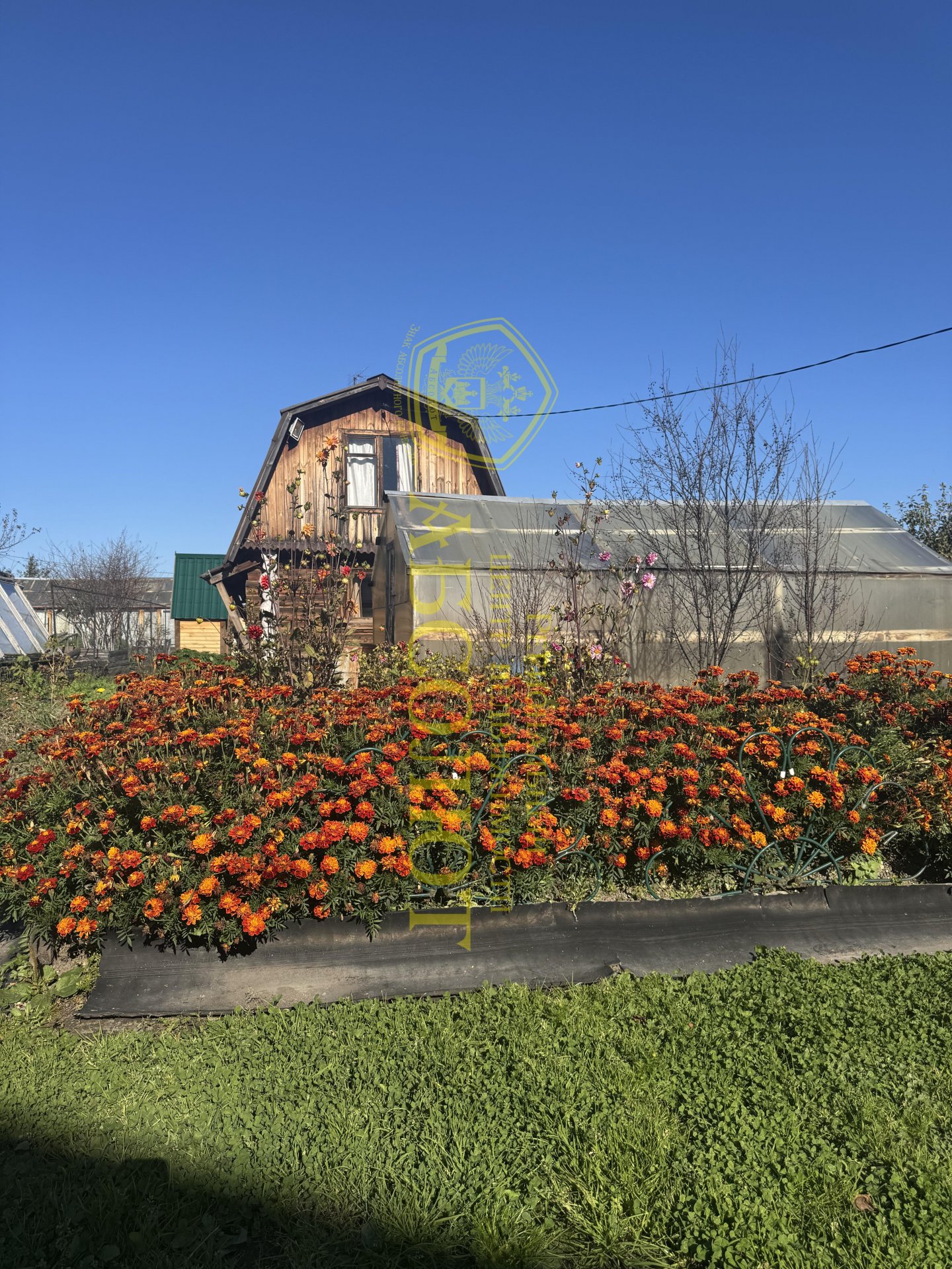 Садовый участок, 48 м² — фото 5