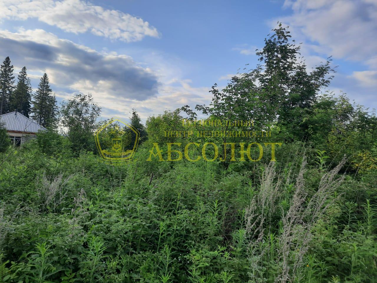 Земельный участок — фото 1