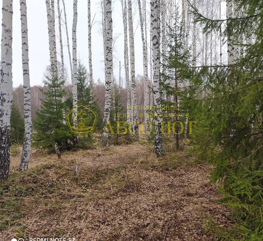 Земельный участок — фото 2