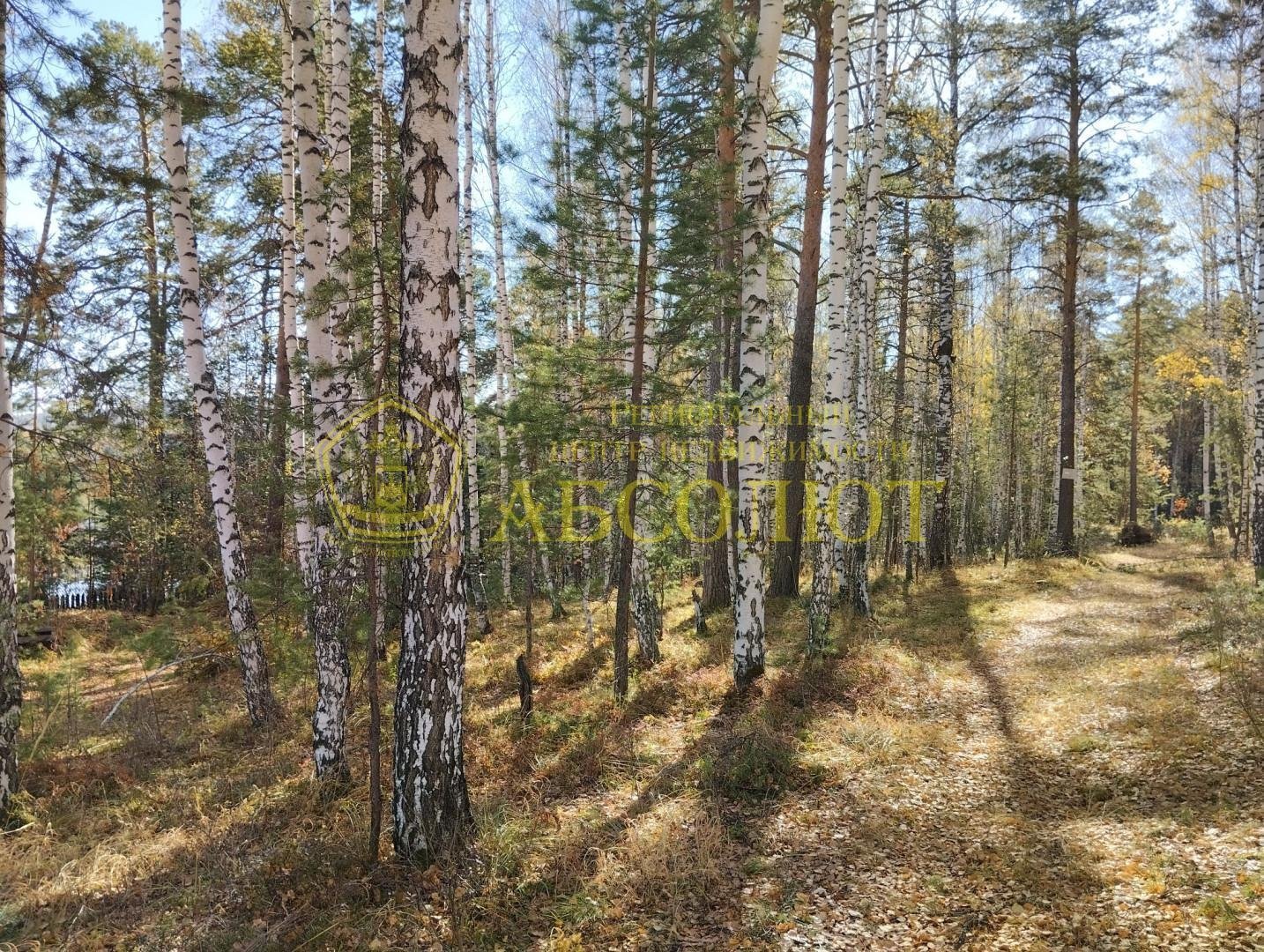 Земельный участок — фото 3