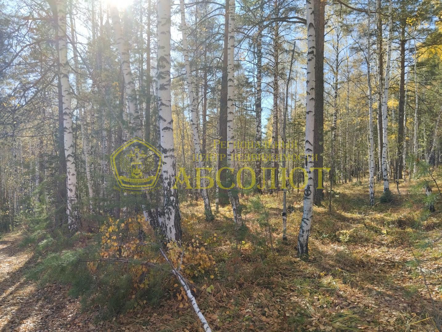Земельный участок — фото 5