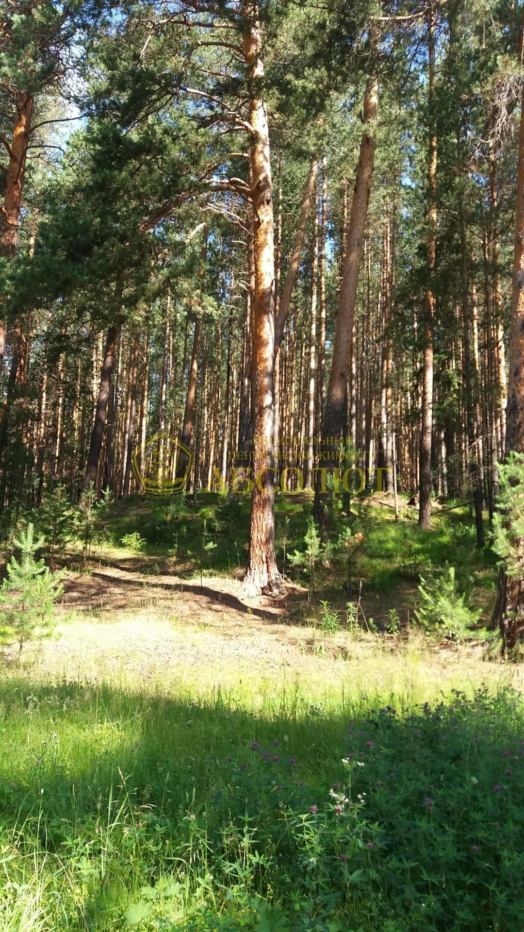 Земельный участок — фото 1