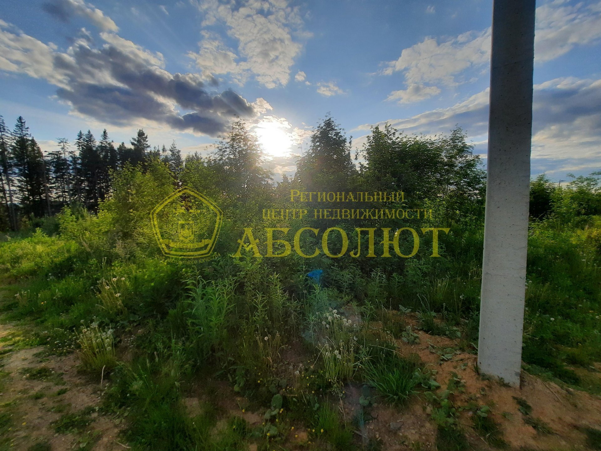 Земельный участок — фото 1