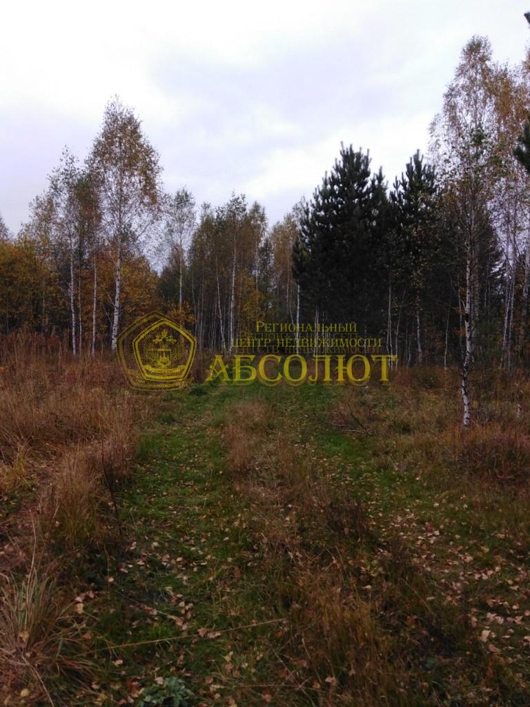 Земельный участок