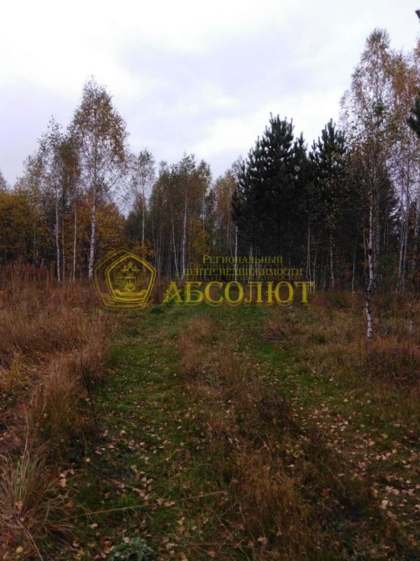 Земельный участок