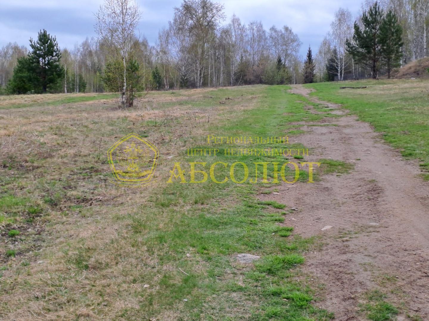 Земельный участок — фото 6