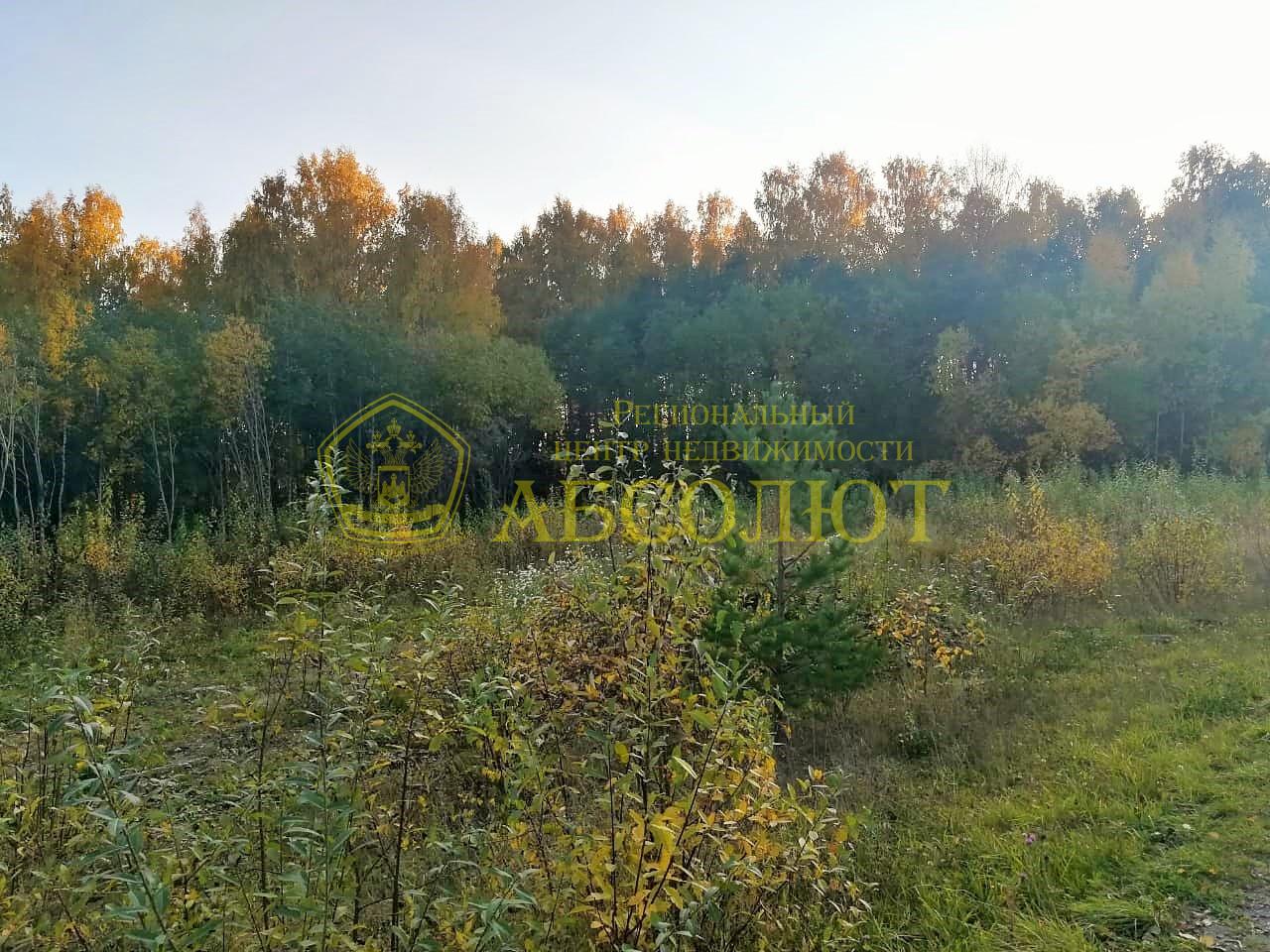 Земельный участок — фото 3