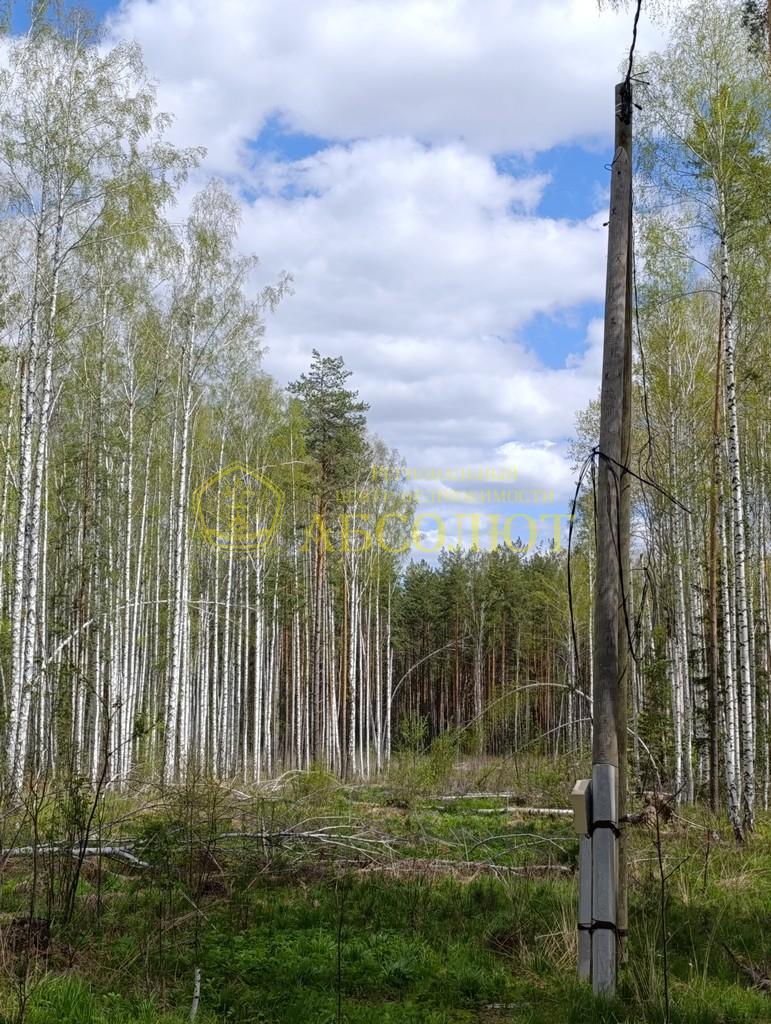 Земельный участок — фото 3