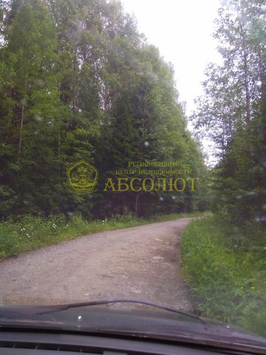 Садовый участок — фото 6