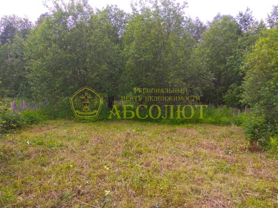 Садовый участок — фото 1