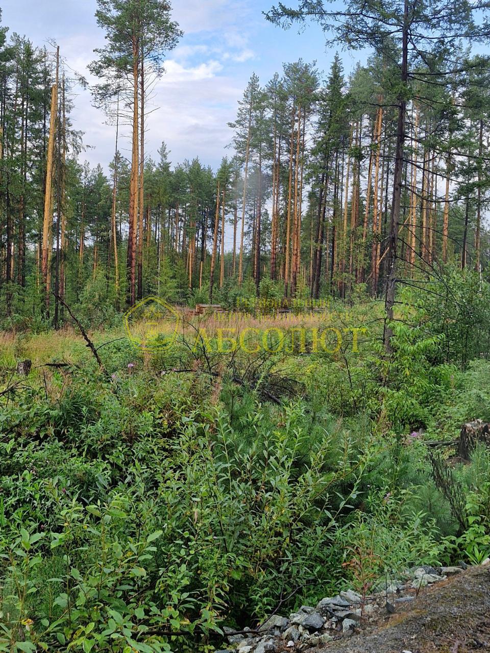 Земельный участок — фото 2