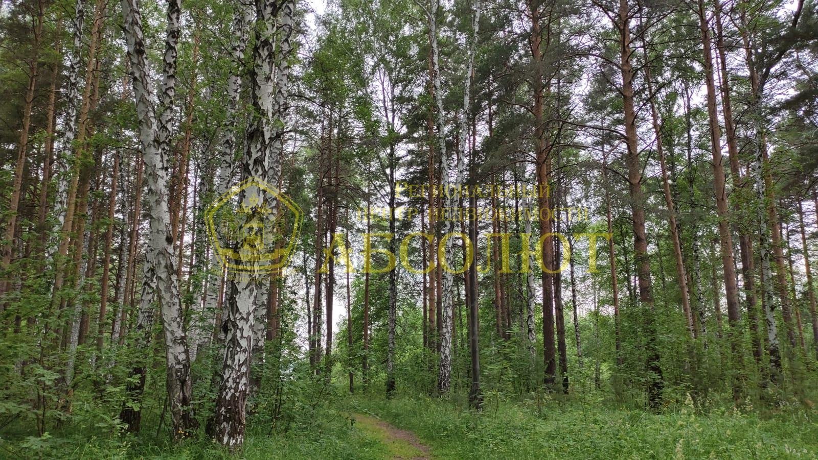 Садовый участок, 50.0 м² — фото 21