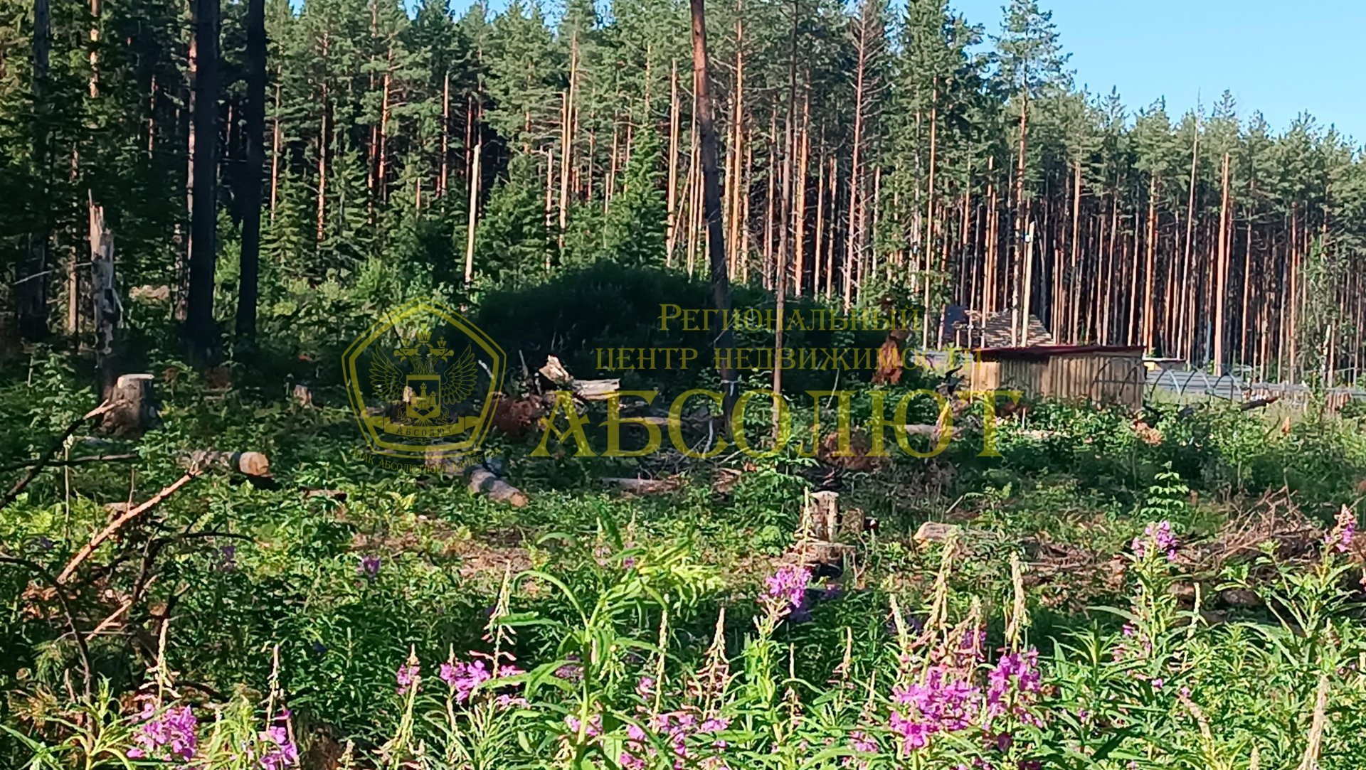 Земельный участок — фото 6
