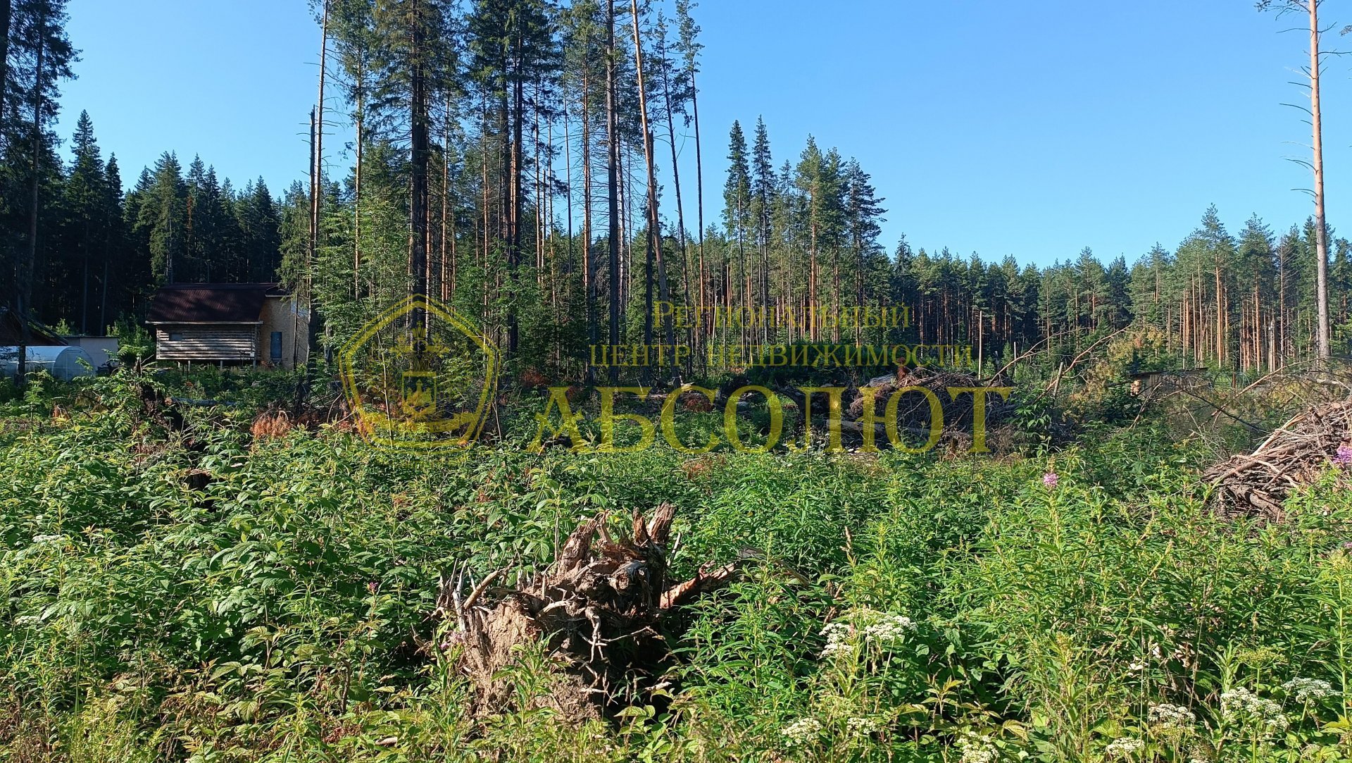 Земельный участок — фото 10
