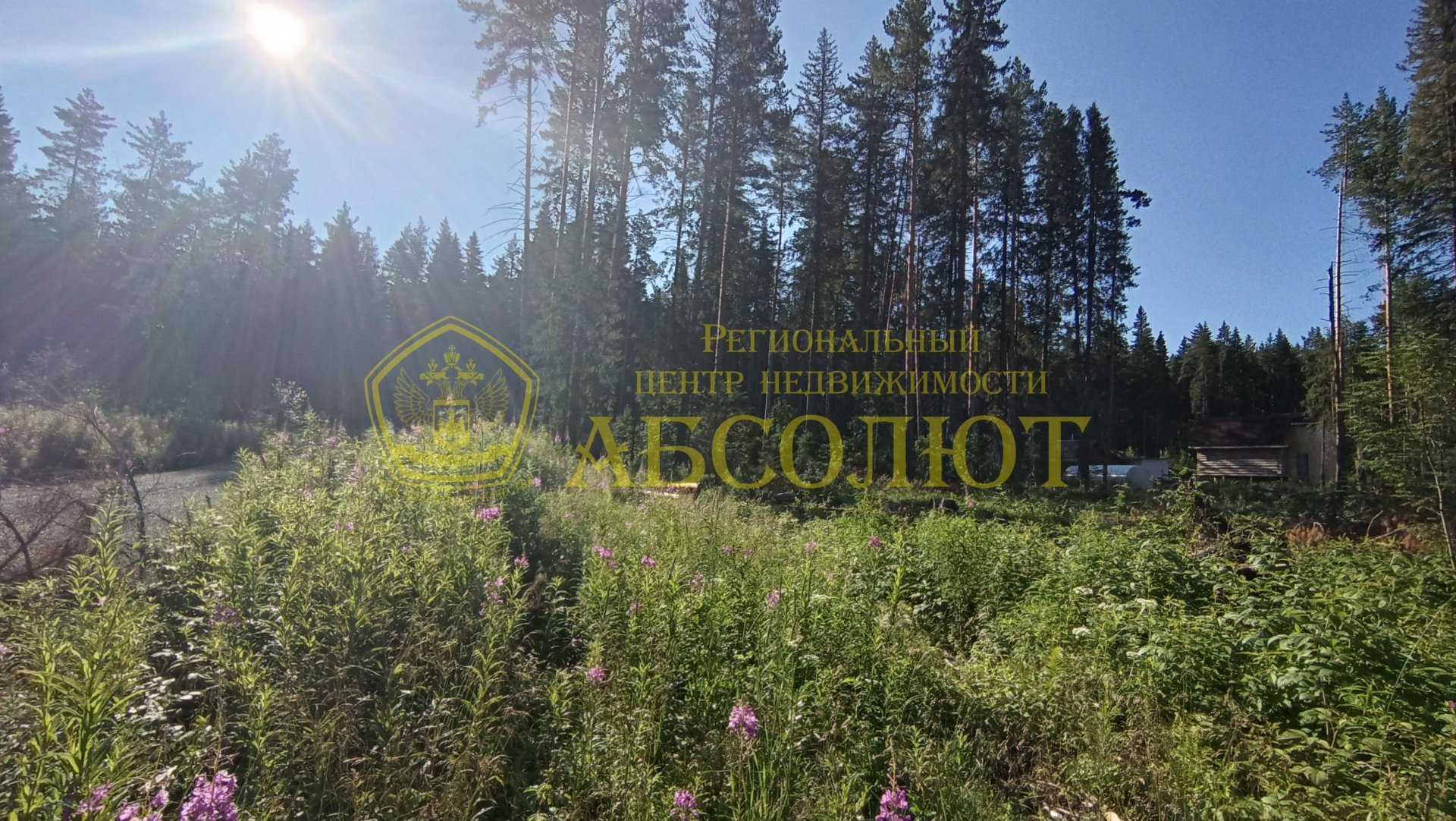 Земельный участок — фото 13