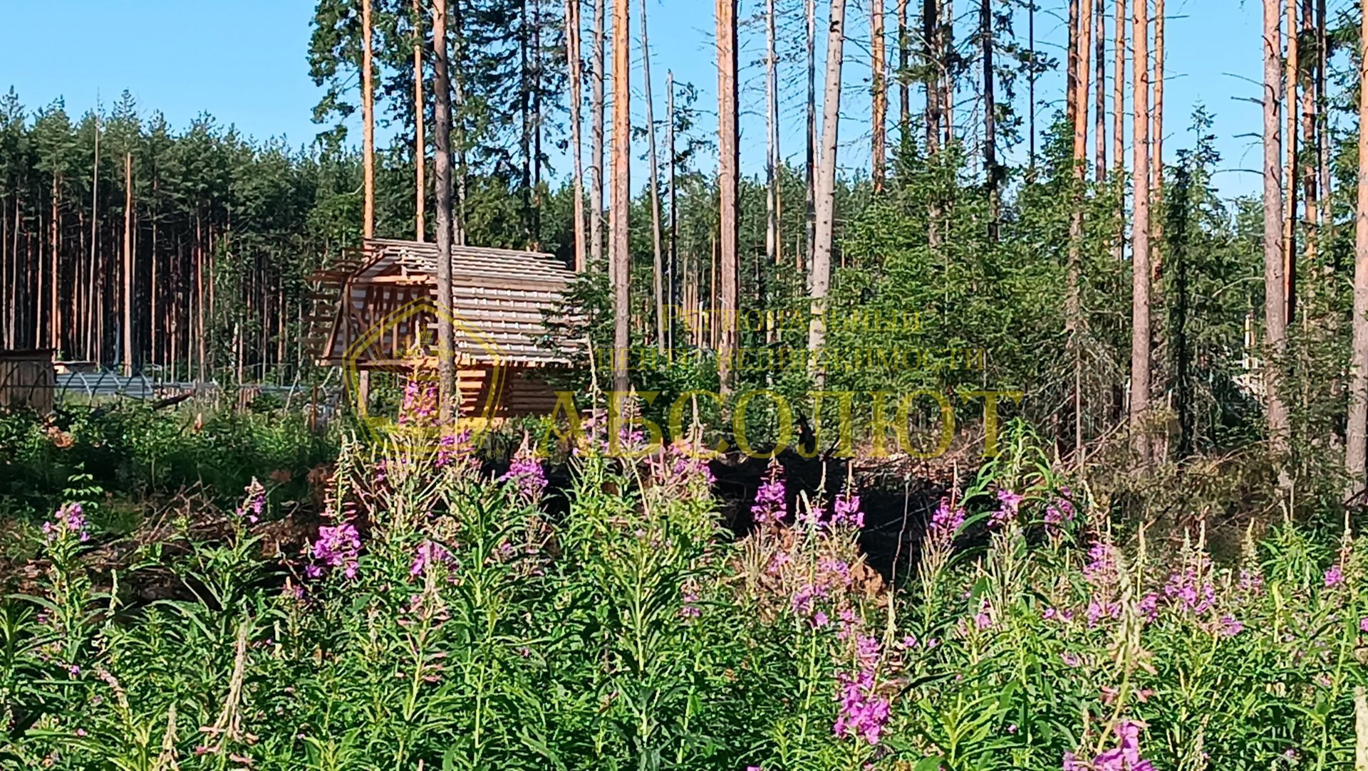 Земельный участок — фото 7