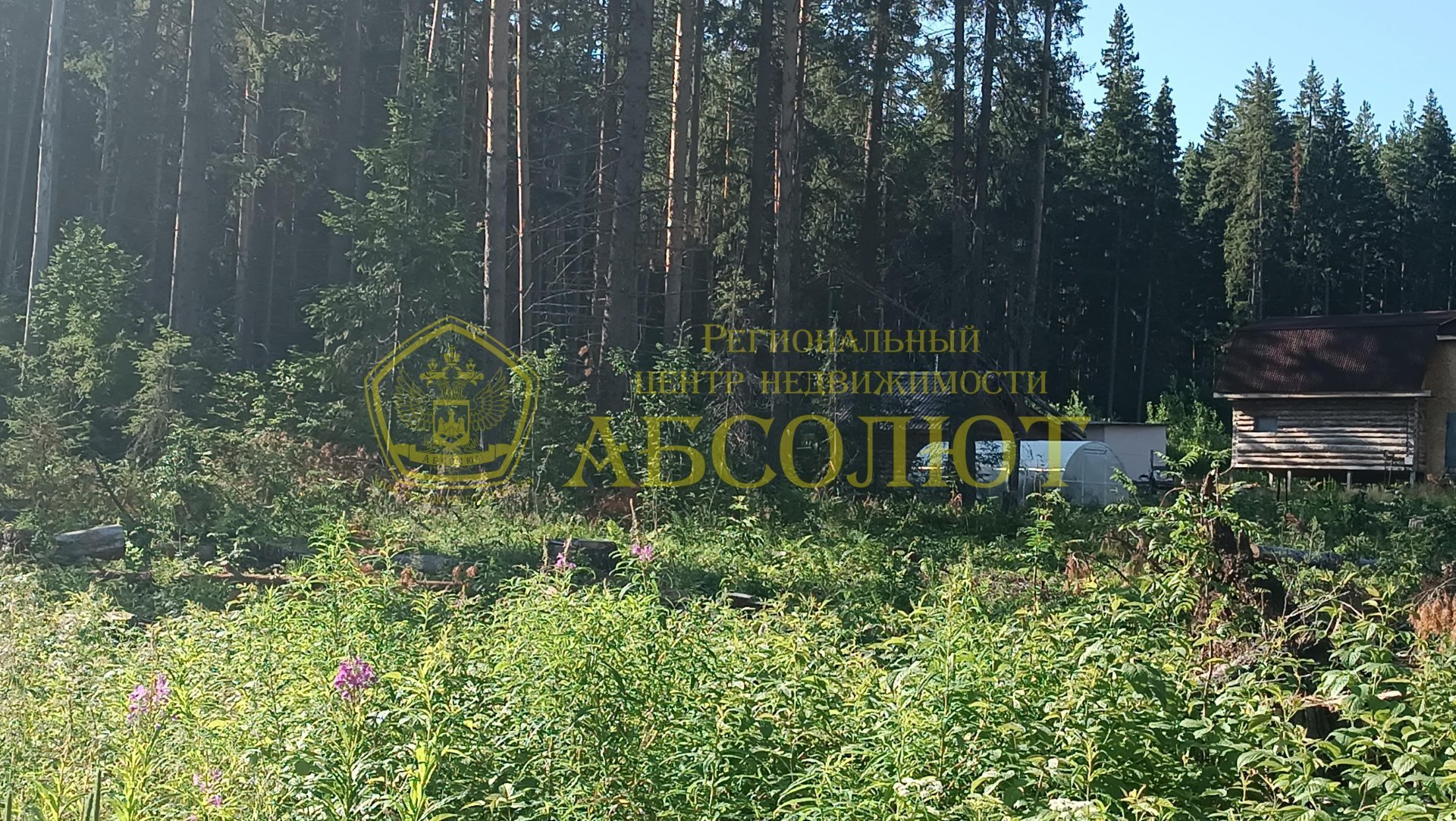 Земельный участок — фото 14