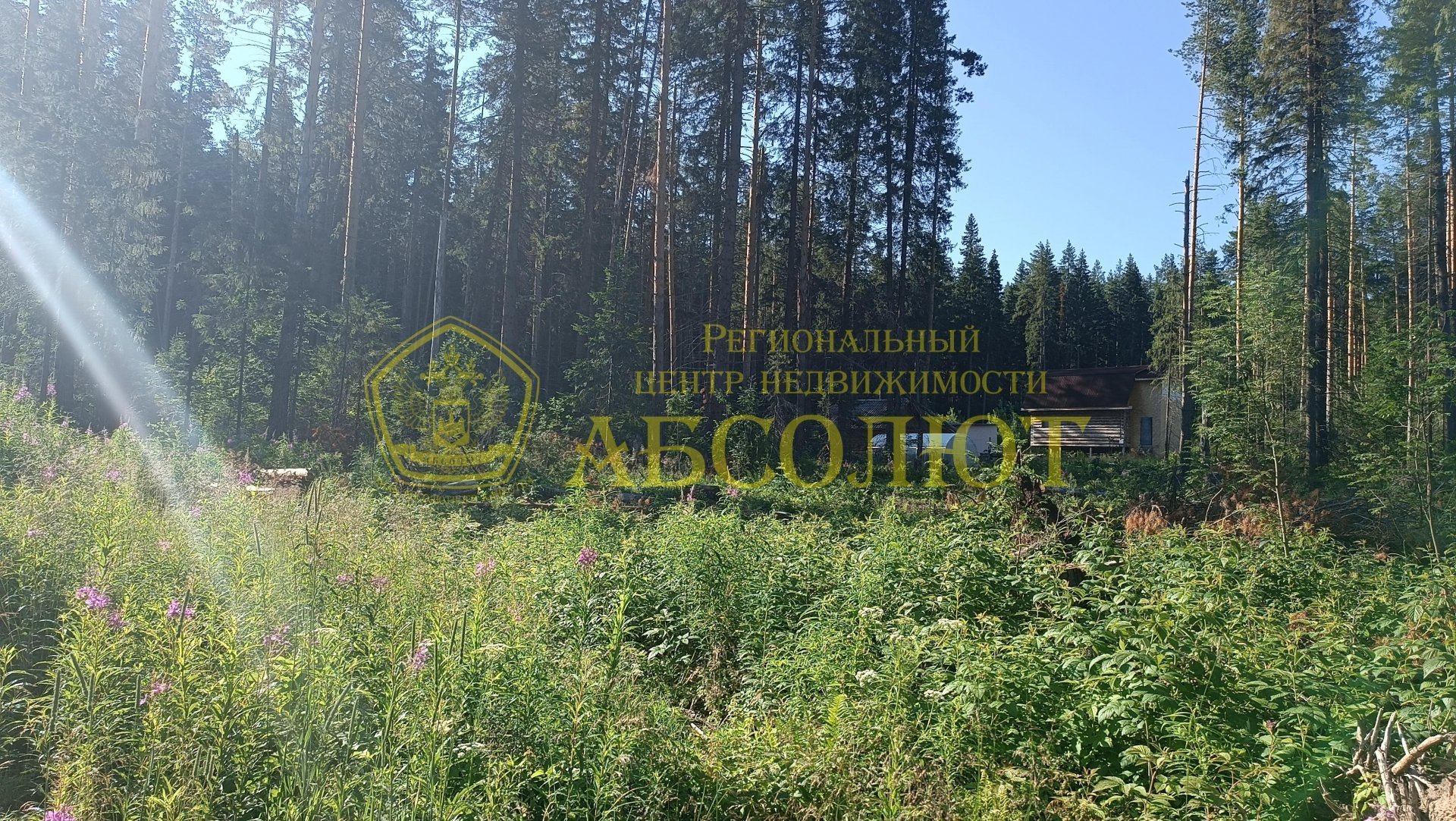 Земельный участок — фото 9