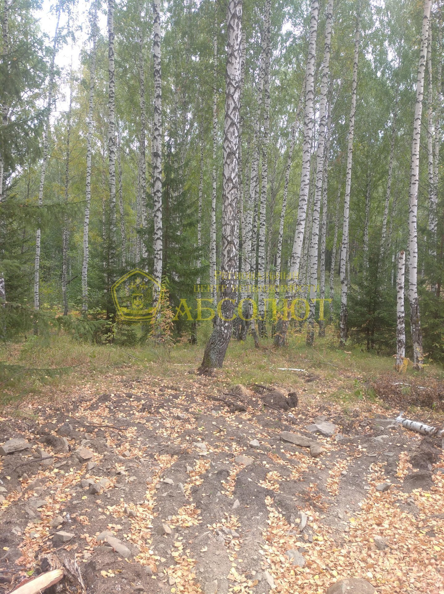 Земельный участок — фото 5