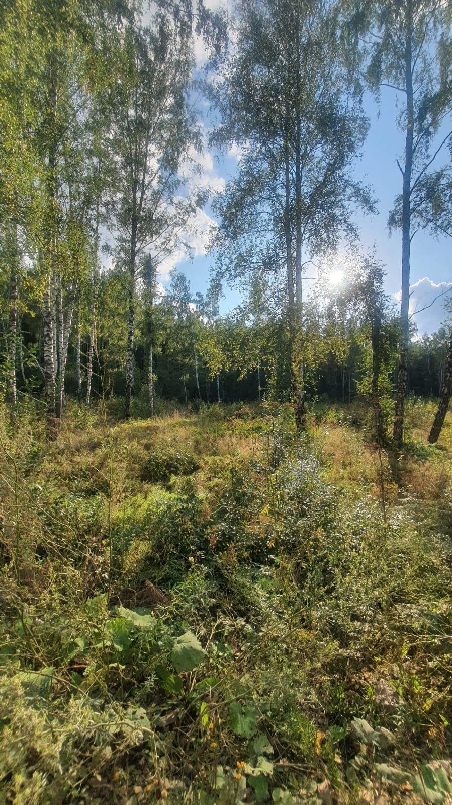 Земельный участок — фото 3