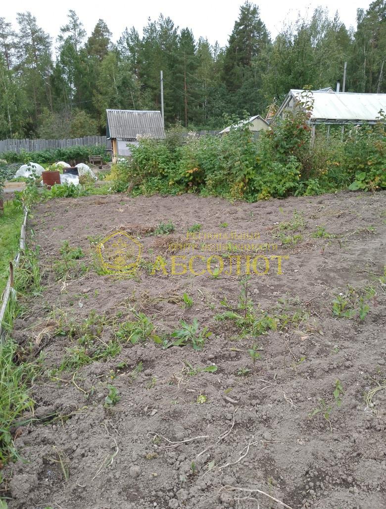 Садовый участок — фото 24