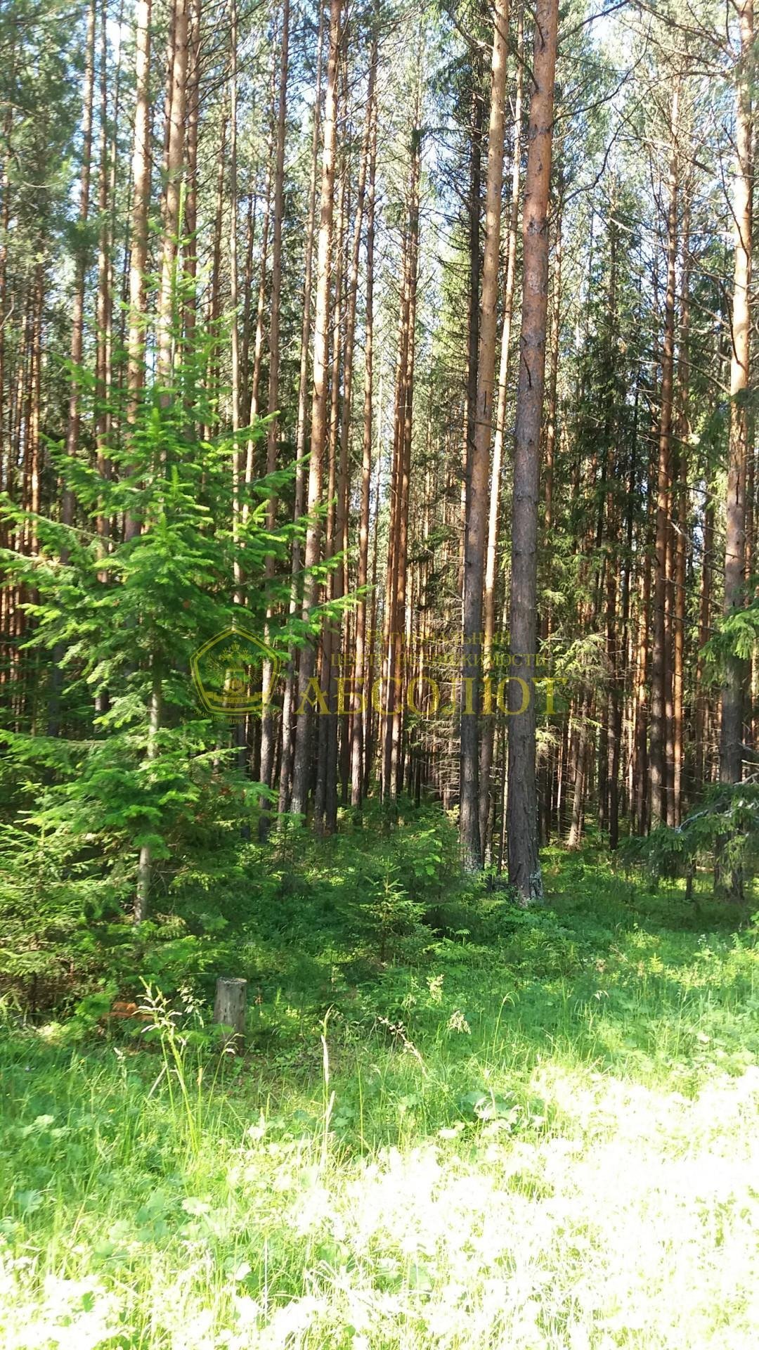 Земельный участок — фото 2