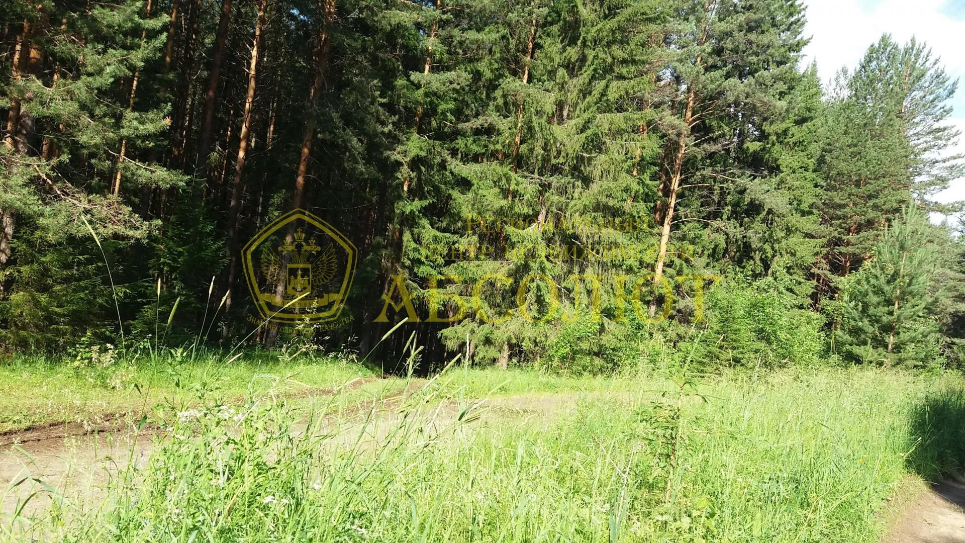 Земельный участок — фото 3