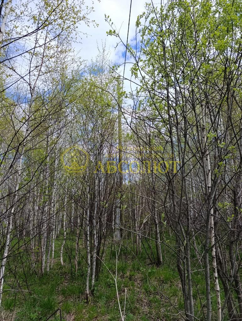 Земельный участок — фото 7