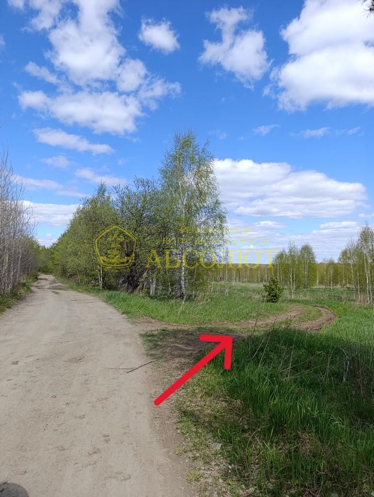 Земельный участок — фото 3