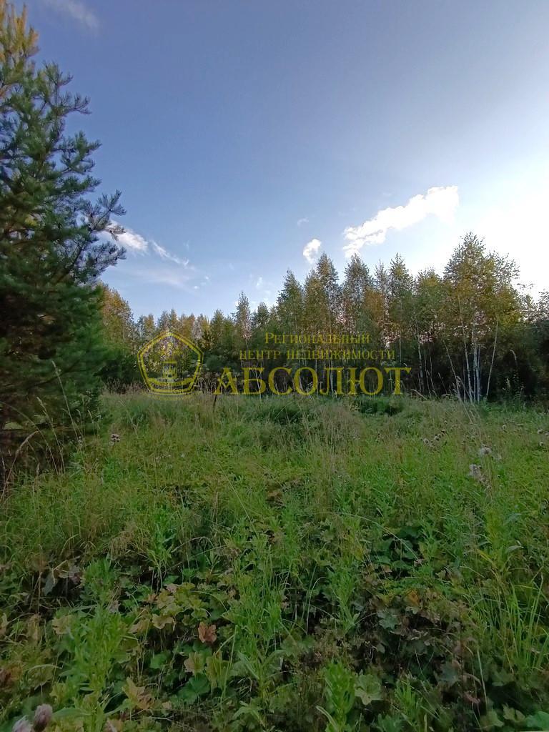 Земельный участок — фото 3