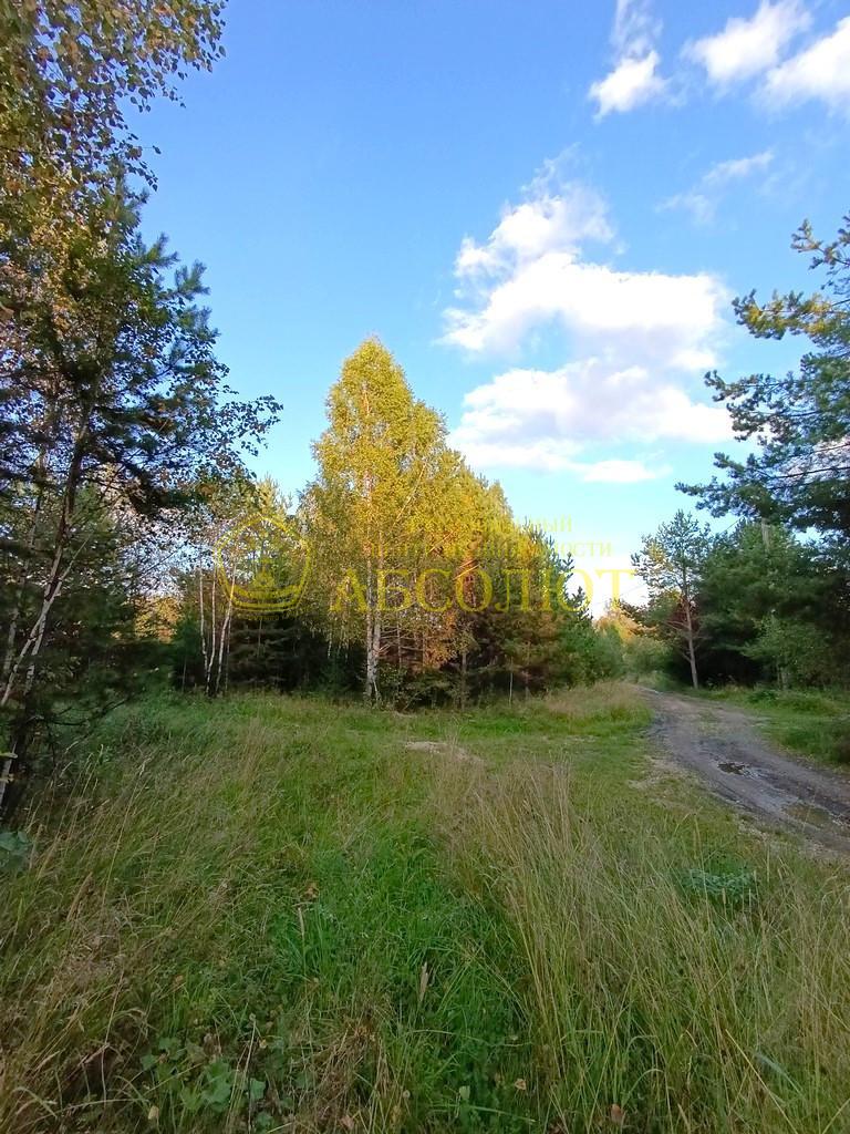 Земельный участок — фото 5
