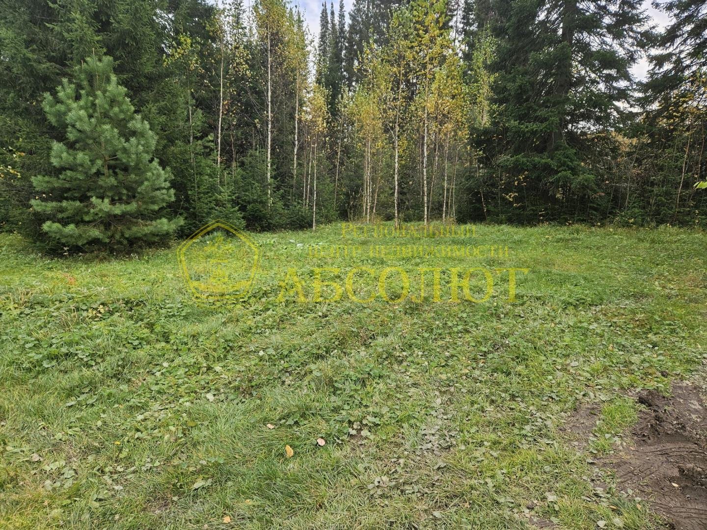 Земельный участок — фото 5