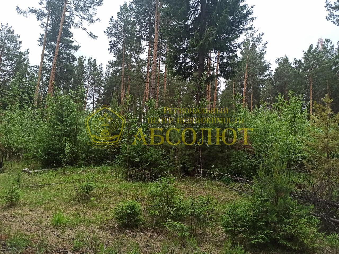 Земельный участок — фото 2