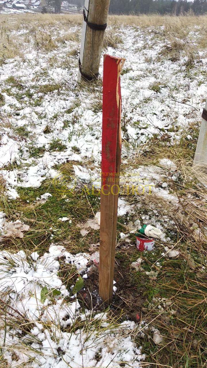 Земельный участок — фото 4