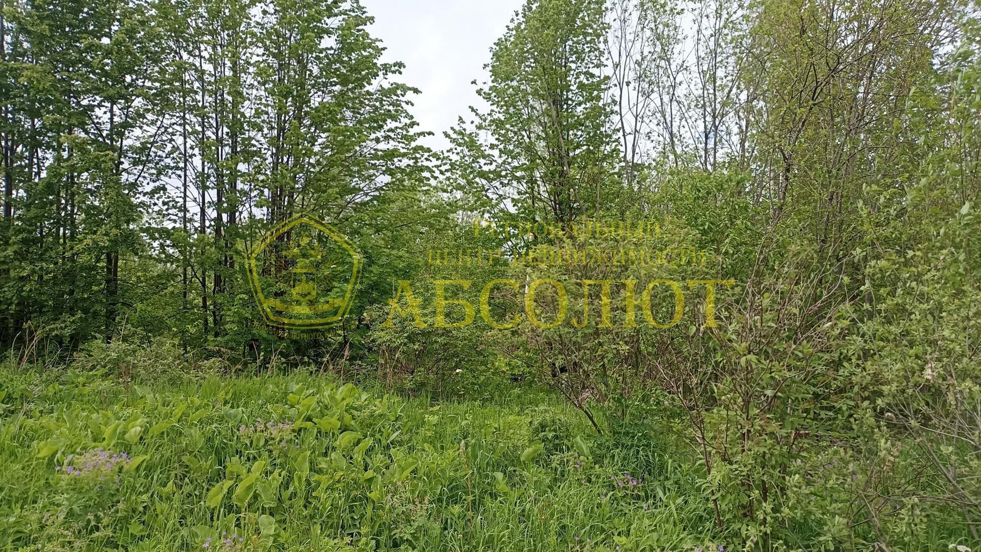 Садовый участок — фото 4
