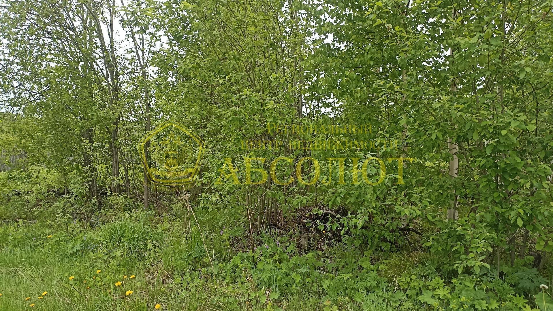 Садовый участок — фото 7