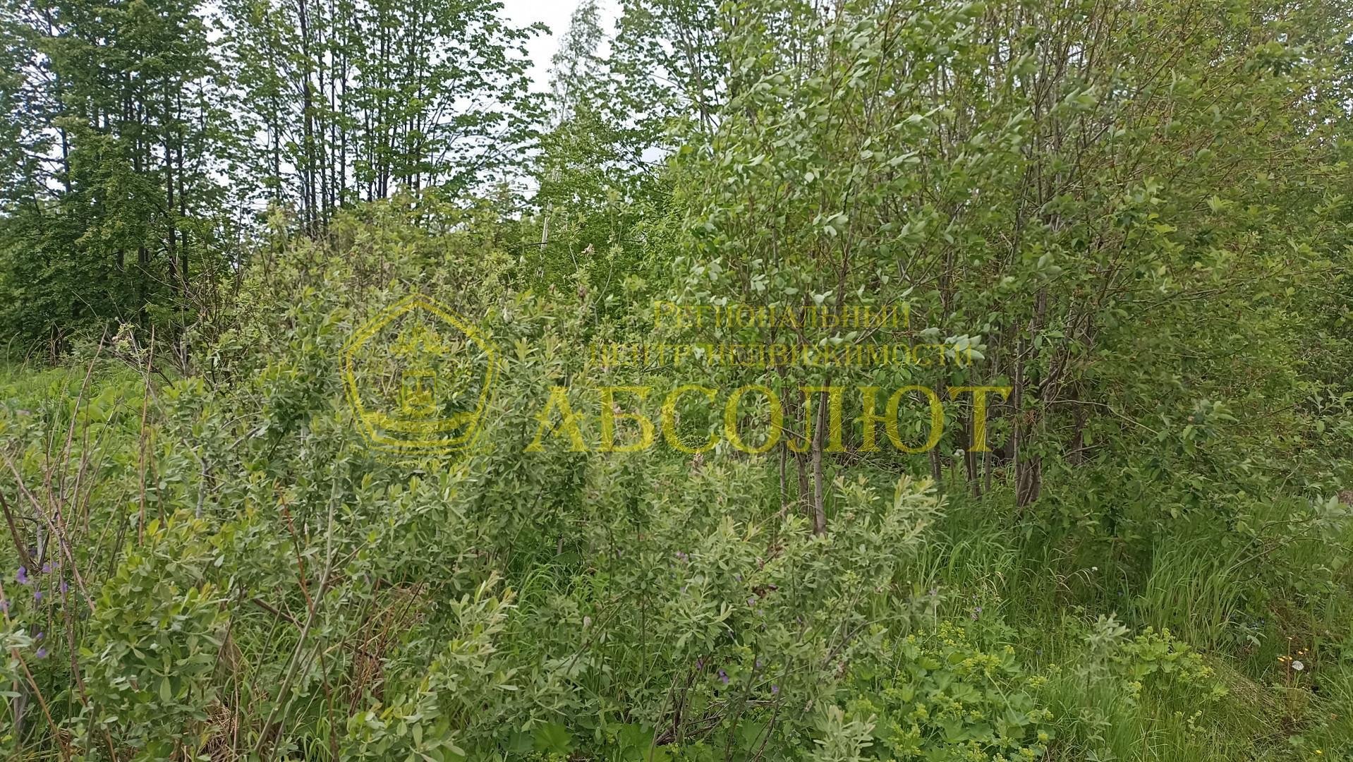Садовый участок — фото 3