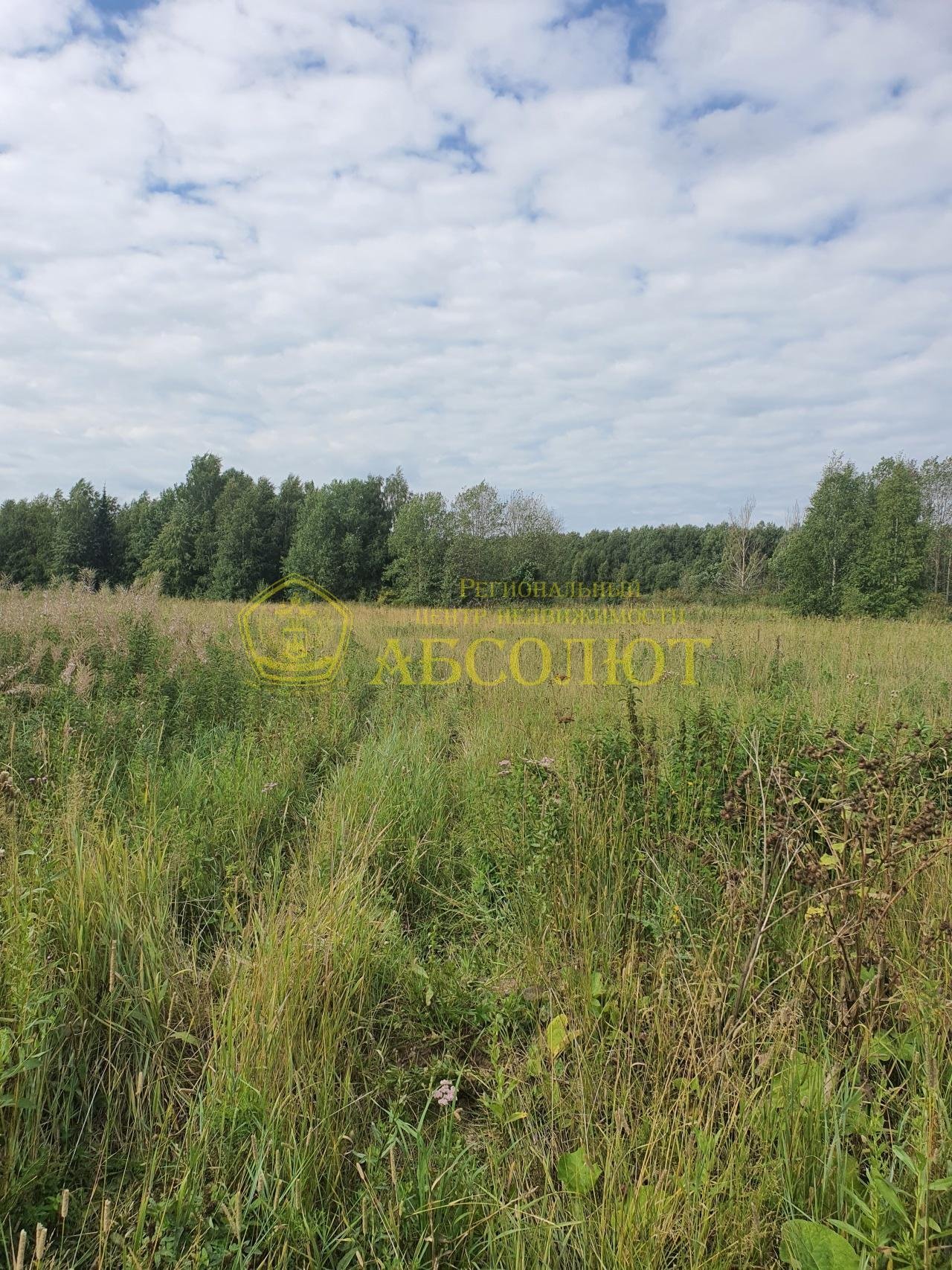 Земельный участок — фото 8