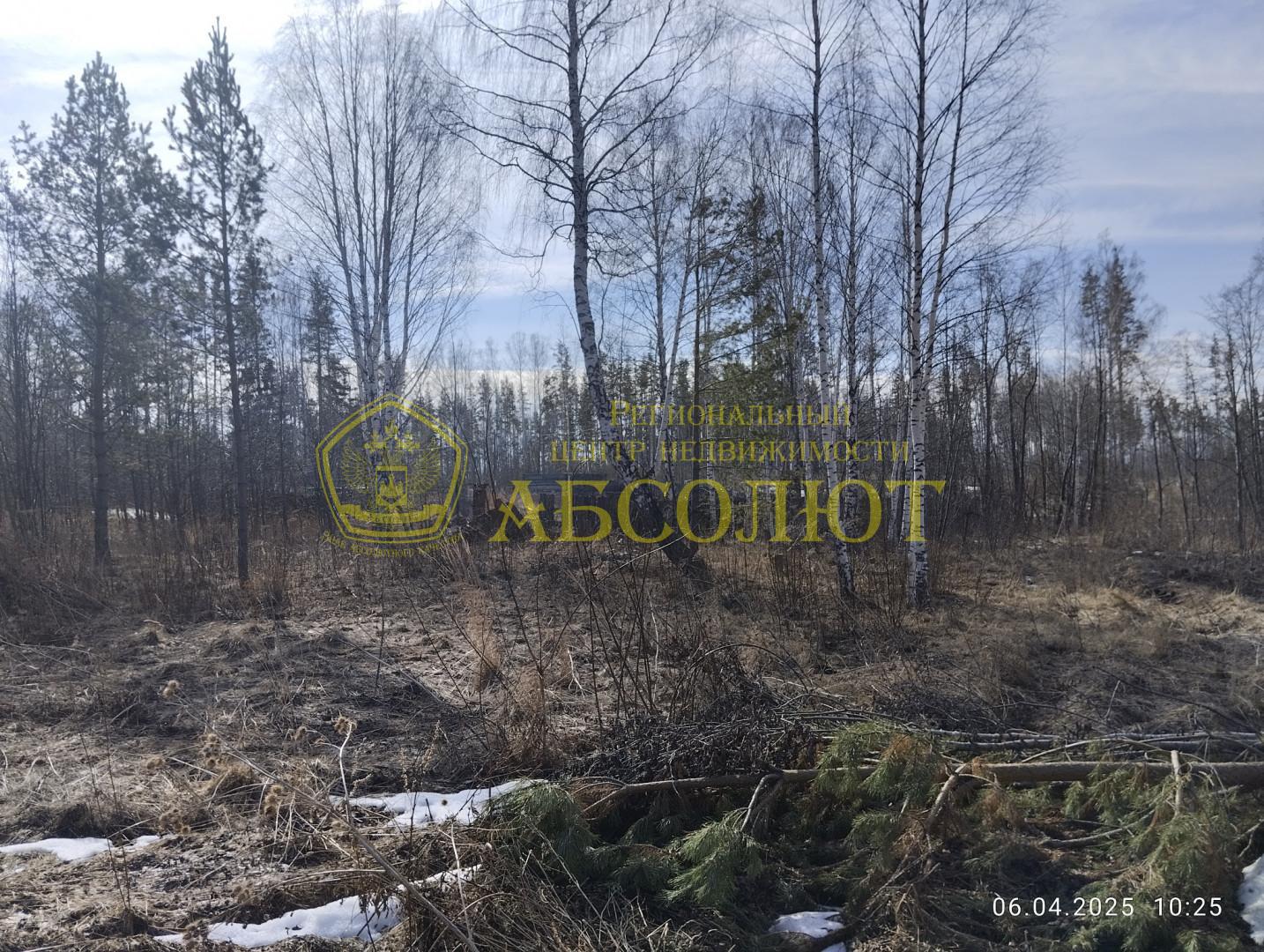 Земельный участок — фото 3