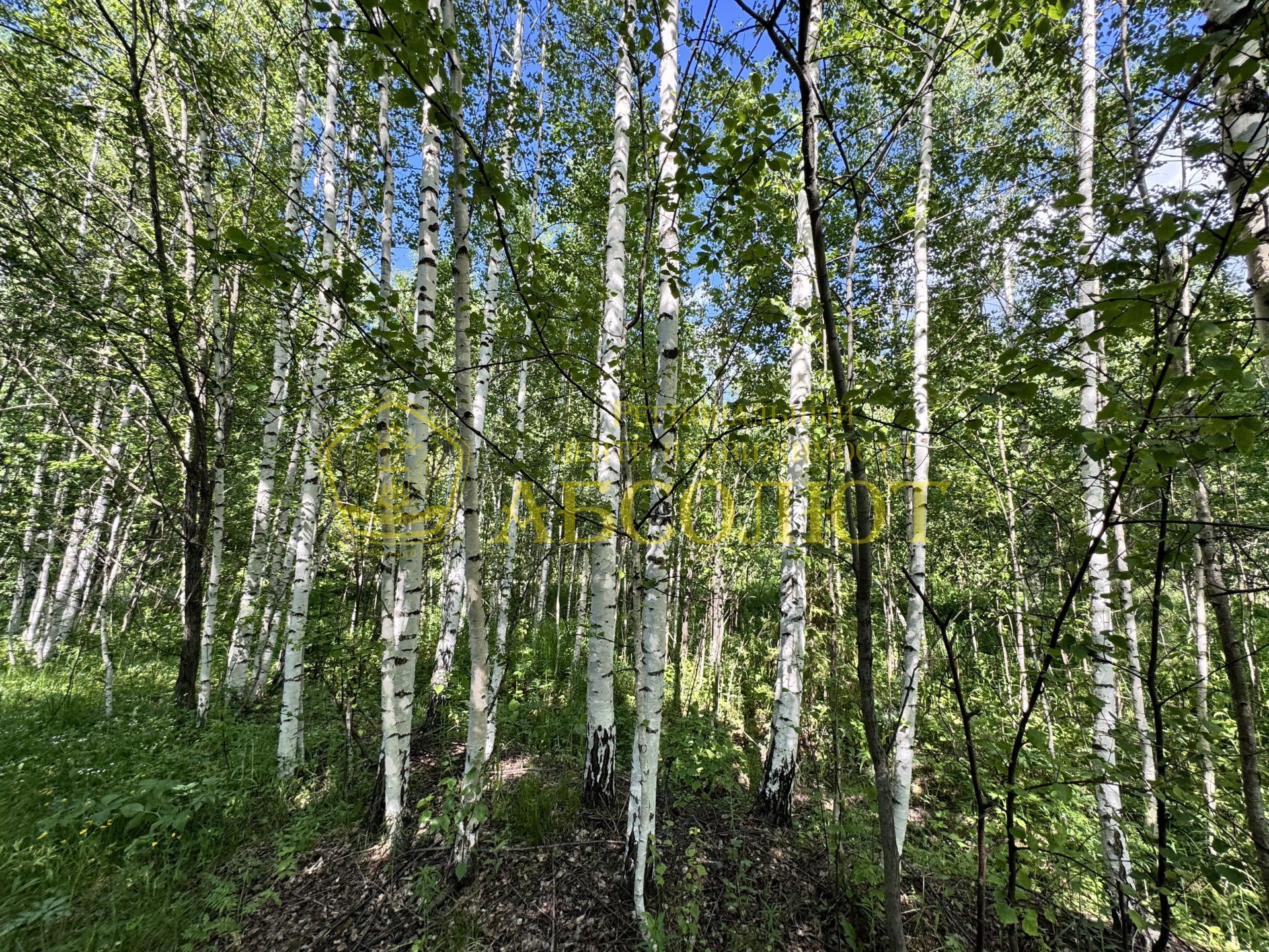 Садовый участок — фото 3