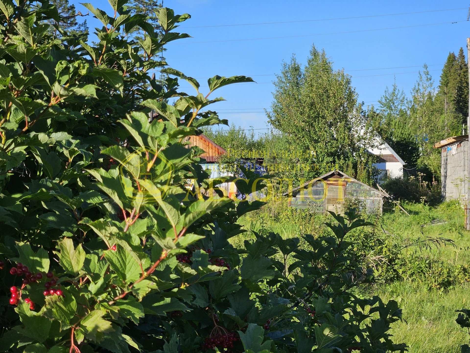 Садовый участок, 55.0 м² — фото 2